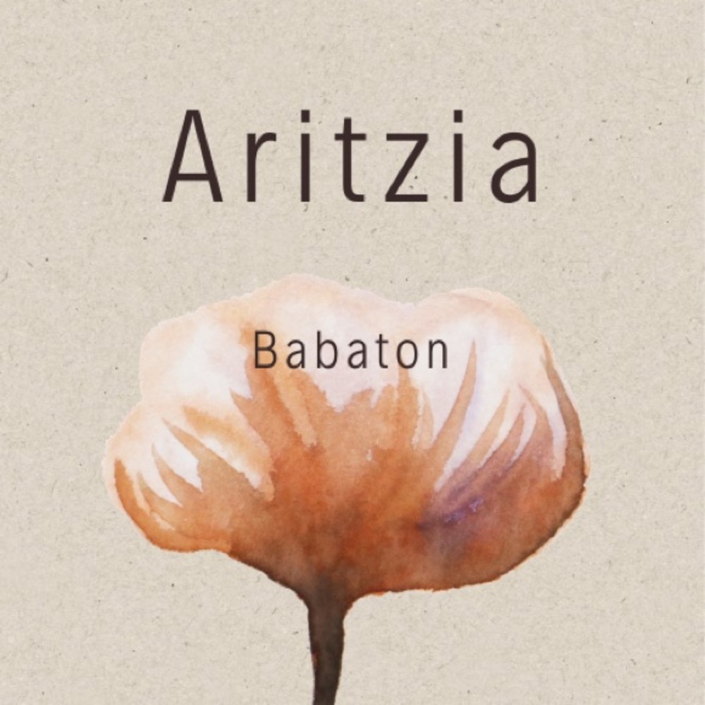 The aritzia babaton series